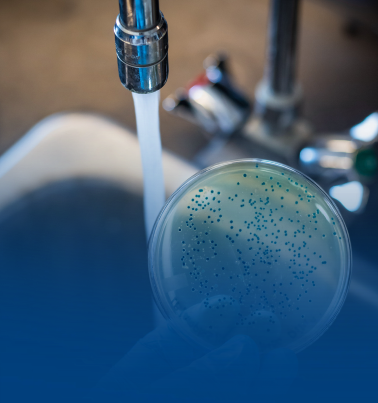 E. coli en el agua: qué significa su detección y por qué es clave el control microbiológico